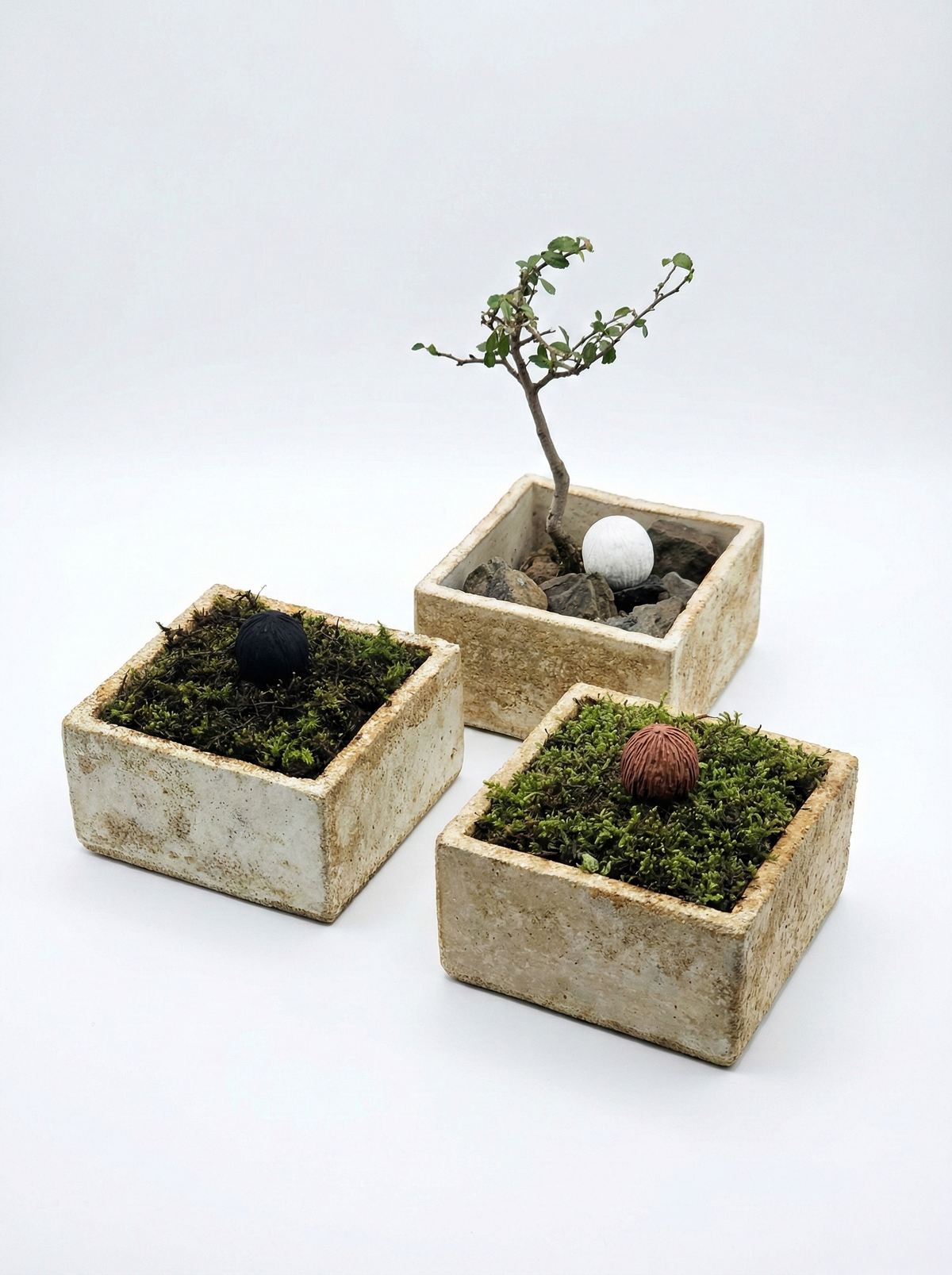 Cultivating Nature's Canvas: French Artist Nessim Cohen’s Mycelium Masterpieces at OZU ARTS and CRAFTS 2026