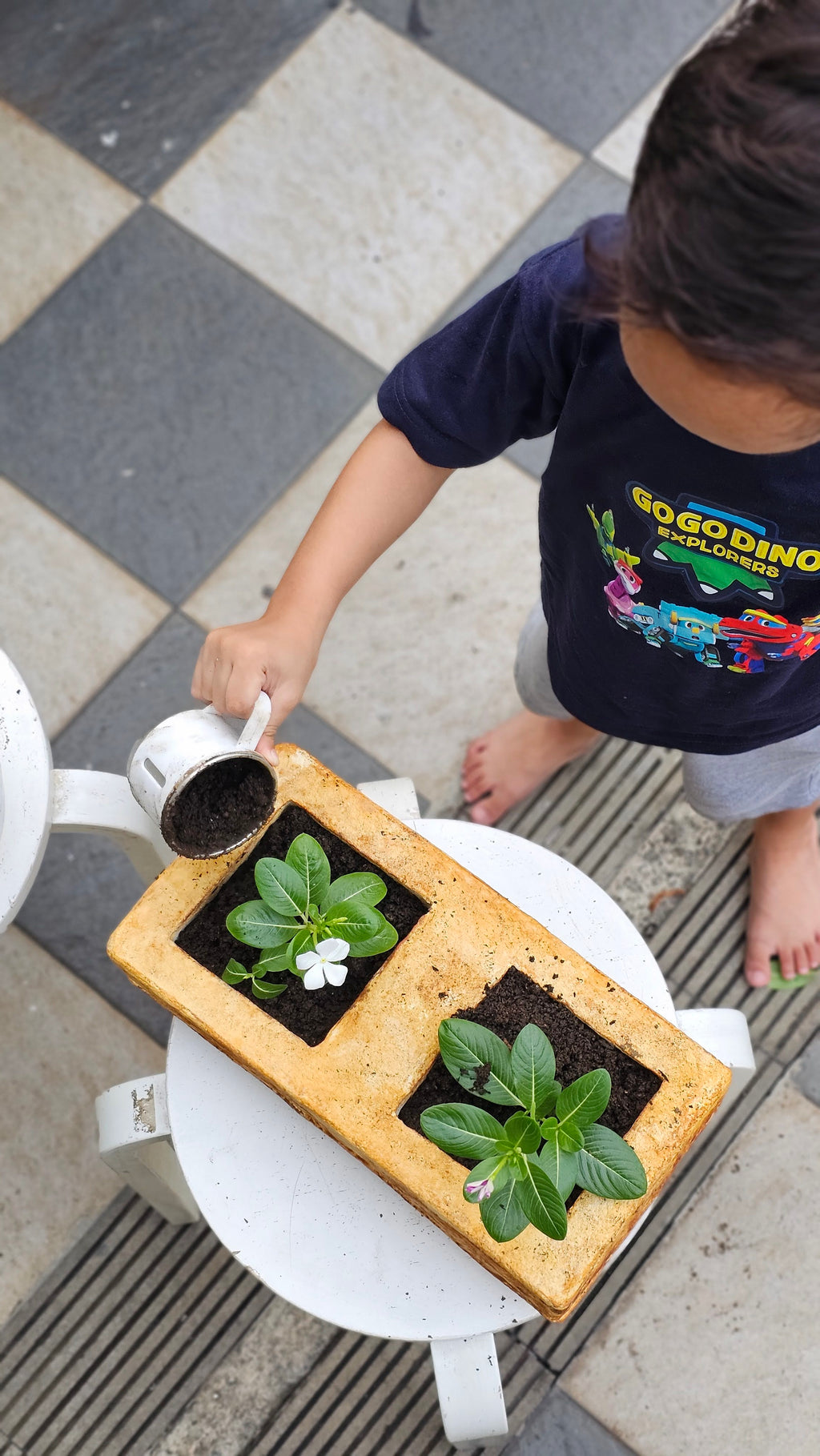 BLX Planter Toys – MYCL Composite