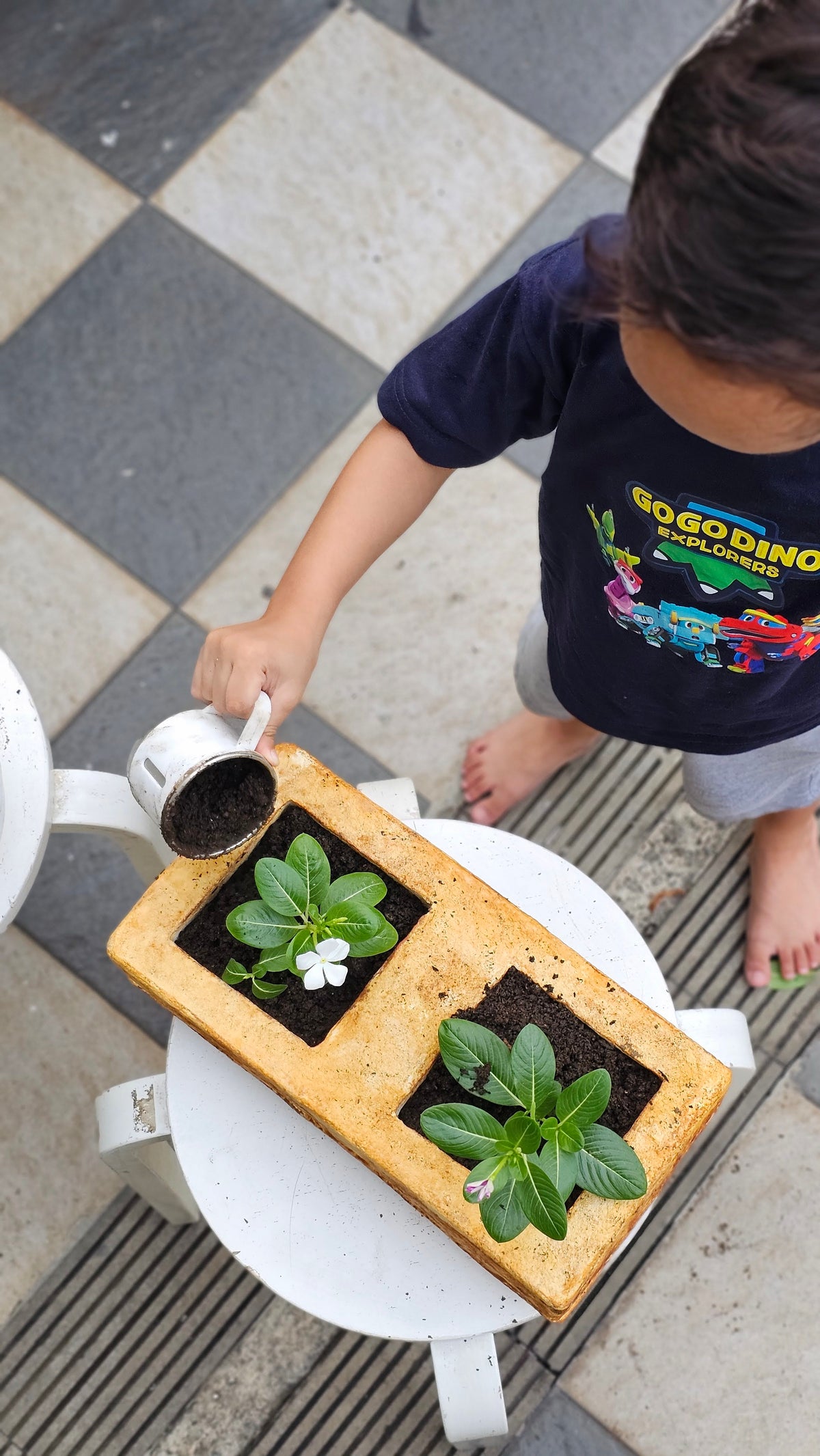 BLX Planter Toys – MYCL Composite
